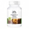 Propolis 750mg - 60 comprimés - 22,5 mg de Galangine | HERBADIREKT by Warnke Vitalstoffe
