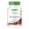 Fairvital | Schisandra - WuWeiZi - VEGAN - 90 gélules - pour 3 mois