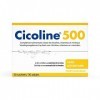 Densmore - Cicoline - Complément Alimentaire Mémoire et Vision - Zinc, Biotine, Inuline, Citicoline - 30 sachets - Cure de 1 