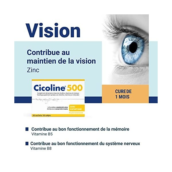 Densmore - Cicoline - Complément Alimentaire Mémoire et Vision - Zinc, Biotine, Inuline, Citicoline - 30 sachets - Cure de 1 