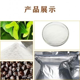 Poudre microcapsule dhuile de graines dérable, soluble dans leau, qualité alimentaire, 1 000,7 g.