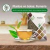 Soria Natural Fumaria Sac 50 g 50 g