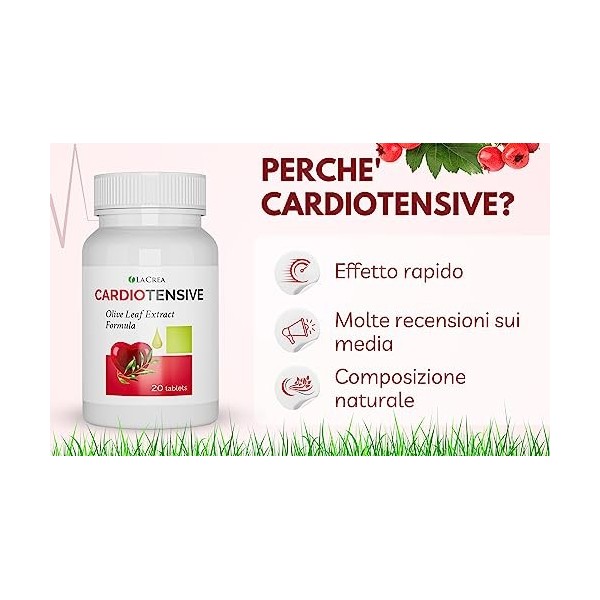 Cardiotensive 20 onglets