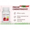 Cardiotensive 20 onglets