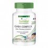 Fairvital | GABA COMPLEX - avec 1200mg dInositol, 400mg de Vitamine B3 & 200mg de GABA par dose journalière - 50 jours - VEG