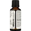 Essential Huile, Balsam Fir Needle Huile - 30 ml