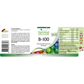 Fairvital | B-100 - Complexe de Vitamine B Fort - toutes les vitamines B B1, B2, B3, B5, B6, B7, B9, B12 & 400ug dacide fo