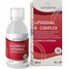 Bandini® Vitamine B Complex Liposomal Liquide 250 ml - Vitamines du groupe B à dosage élevé - B1, B2, B3, B5, B6, B7, B9, B12