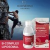 Bandini® Vitamine B Complex Liposomal Liquide 250 ml - Vitamines du groupe B à dosage élevé - B1, B2, B3, B5, B6, B7, B9, B12