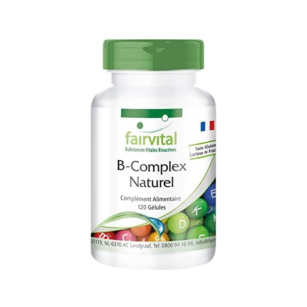 Fairvital | Complexe Vitamines B - issu de la levure de bière - VEGAN - 120 gélules - avec de la choline et de linositol