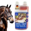 Amino Liquid I Acides aminés Vitamine B Complexe I Complément Alimentaire Vitamine B12 I Zinc Cheval I Renforcement Musculair