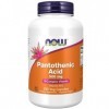 NOW Foods Pantothenic Acid, 500 mg – 250 gélules – Soutient lénergie et le métabolisme