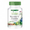 Fairvital | Vitamine B1 100mg - Thiamine - VEGAN - Dose élevée - 100 comprimés - Qualité allemande