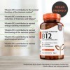 Vitamine B12 1000mcg - 450 Comprimés Végétaliens Très Puissants Plus de 14 mois dapprovisionnement - Supplément B12 Très P