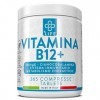Vitamine B12 1000 mcg Piulife® ● 365 Comprimés à Forte Dose ● Aide Efficace Pour le Corps ● Contraste la Fatigue et Contribue