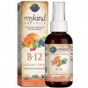 Garden of Life Kind Organics Methylcobalamine B12 Spray Framboise