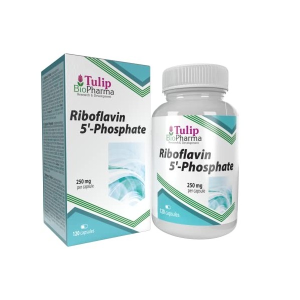 Tulip BioPharma Vitamine B2 Riboflavine 5-Phosphate 250mg 120 Capsules, testé par un laboratoire tiers, sans gluten ni OGM