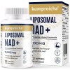 Liposomes NAD+ 500mg avec TMG 250mg Gel mou, supplément NAD+ actuel pour la réparation cellulaire & le métabolisme énergétiqu