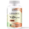 liposomal NAD+ 500mg avec TMG 250mg, véritable supplément de NAD+ pas un précurseur plus efficace que le NMN, absorption su