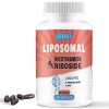 Liposomal Nicotinamide Riboside 2000mg avec TMG et Ptérostilbène | Plus efficace que NMN, Boost NAD+ 60 Unité Lot de 1 