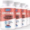 Liposomal Nicotinamide Riboside 2000mg avec TMG et Ptérostilbène | Plus efficace que NMN, Boost NAD+ 60 Unité Lot de 1 