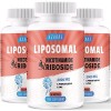 Liposomal Nicotinamide Riboside 2000mg avec TMG et Ptérostilbène | Plus efficace que NMN, Boost NAD+ 60 Unité Lot de 1 