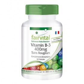 Fairvital | Vitamine B-3 Niacine 400 mg - Sans Rougeurs - 90 gélules VEGANes - Forme douce de la B3