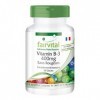 Fairvital | Vitamine B-3 Niacine 400 mg - Sans Rougeurs - 90 gélules VEGANes - Forme douce de la B3