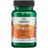 Swanson, Niacine, 100mg, Vitamine B3, 250 Comprimés végétaliens, Hautement Dosés, Testé en Laboratoire, Végétariens, Sans Soj