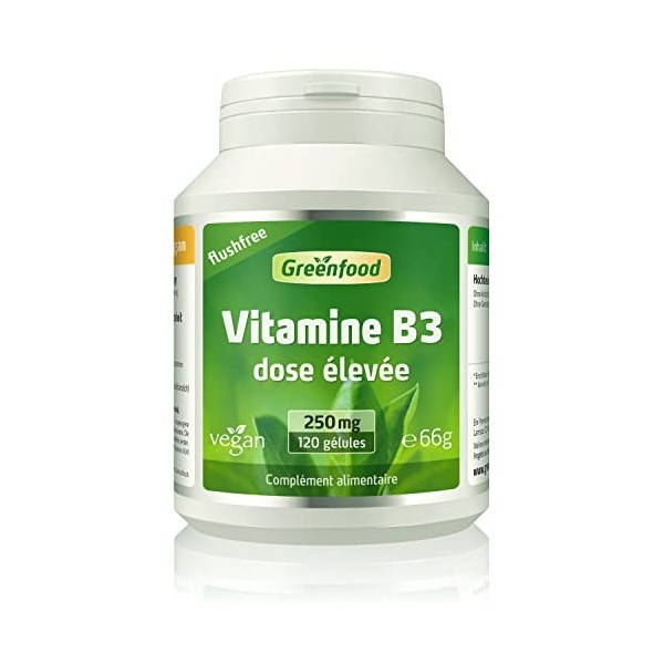 Greenfood La Vitamine B3, Sans chasse deau, 250 mg, dose élevée, 120 gélules - à réduire la fatigue. Sans additifs artificie