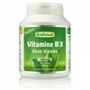 Greenfood La Vitamine B3, Sans chasse deau, 250 mg, dose élevée, 120 gélules - à réduire la fatigue. Sans additifs artificie