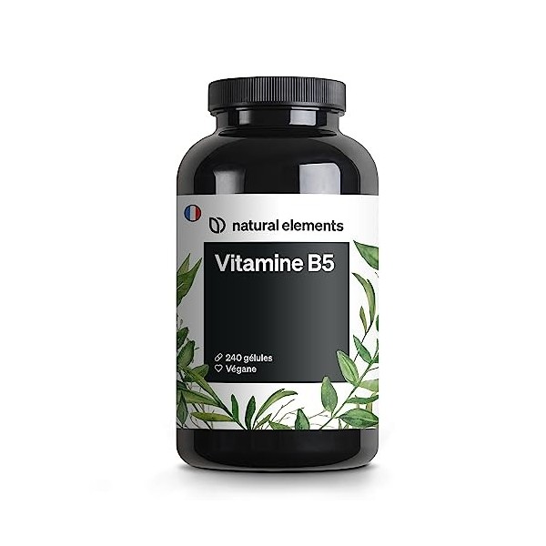 Vitamine B5 – 240 gélules – 500 mg d’acide pantothénique hautement dosé – végane – produit et testé en laboratoire en Allemag