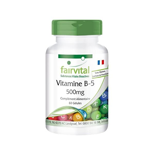 Fairvital | Vitamine B5 500mg - Acide Pantothénique - VEGAN - Fortement dosé - 60 gélules - ! Boite pour 2 mois !