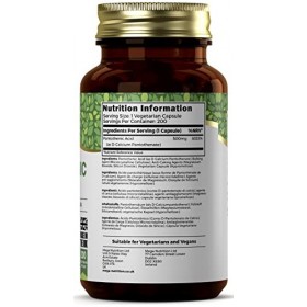 Ezyleaf Acide Pantothénique Supplément | 200 Capsules Vitamine B5 à Haute Teneur - 500mg Pantothenique B5 par portion | Vitam