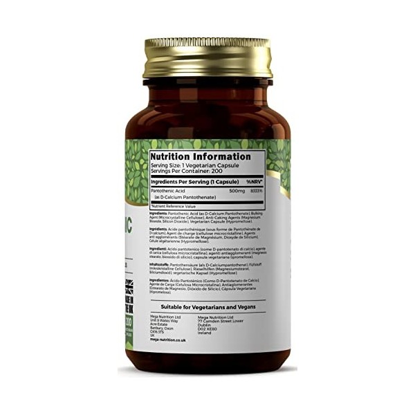 Ezyleaf Acide Pantothénique Supplément | 200 Capsules Vitamine B5 à Haute Teneur - 500mg Pantothenique B5 par portion | Vitam