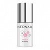 NeoNail Primer Vitamins Hybrides/acrylique/gel Stylisations 7,2 ml