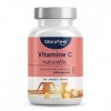 Vitamine C Pure 240 Capsules, Vitamine C Naturelle Acérola et Églantier, 400mg de Vitamine C Pure par Portion Quotidienne, 10