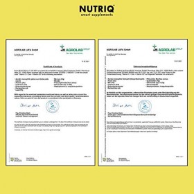 Vitamine C + D3 + Zinc par NUTRIQ - 180 gélules pour 6 mois - dosage élevé
