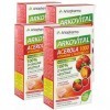 Arkopharma - lot de 4 boites Arkovital Acerola Vitamine C Naturelle1000mg - gout fruits rouges - 120 Comprimés à Croquer