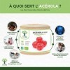 Acerola Bio - Bioptimal - Complément Alimentaire - Extrait dAcérola en Gélule - 17% de Vitamine C Biodisponible - Anti-Fatig