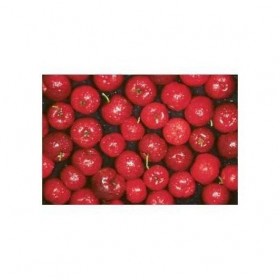 Acérola POUDRE 1 Kg Malphighia punicifolia