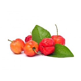 Vitamine C Naturelle Bio * 170 mg / 60 comprimés * Acérola Biologique Titrée à 17% en vitamine C naturelle Bio