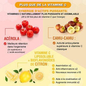 Vitamine C Liposoluble Vegan 500 mg - Ne Fait Pas Mal à lEstomac - Renforce le Système Immunitaire - Aux Extraits dAcérola 