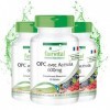 Fairvital | OPC 600mg avec Acerola - set pour pendant 3 mois - VEGAN - Fortement dosé - 270 gélules 90 x 3 - extrait de pép