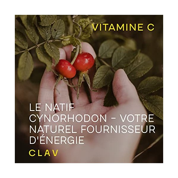 Vitamine C Naturelle - 120 Gélules - Vitamine C 500mg par Dose 2 gélules - 100% Pure Extrait de Cynorrhodon à Haute Dose - 