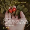 Vitamine C Naturelle - 120 Gélules - Vitamine C 500mg par Dose 2 gélules - 100% Pure Extrait de Cynorrhodon à Haute Dose - 