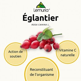 Lemuria - ÉGLANTIER Extrait Total Rosa Canina - Action de Soutien et de Reconstitution de l’Organisme, Riche en Vitamine C,