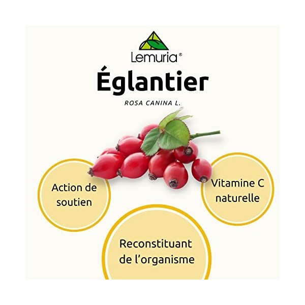 Lemuria - ÉGLANTIER Extrait Total Rosa Canina - Action de Soutien et de Reconstitution de l’Organisme, Riche en Vitamine C,