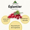 Lemuria - ÉGLANTIER Extrait Total Rosa Canina - Action de Soutien et de Reconstitution de l’Organisme, Riche en Vitamine C,