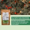 SFB Laboratoires - Camu-Camu Bio - Source d’antioxydants et de Vitamine C - 150g